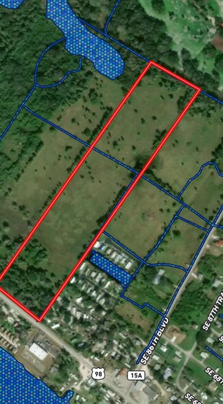 Plus de détails pour U.S. 441 Hwy, Okeechobee, FL - Terrain à vendre