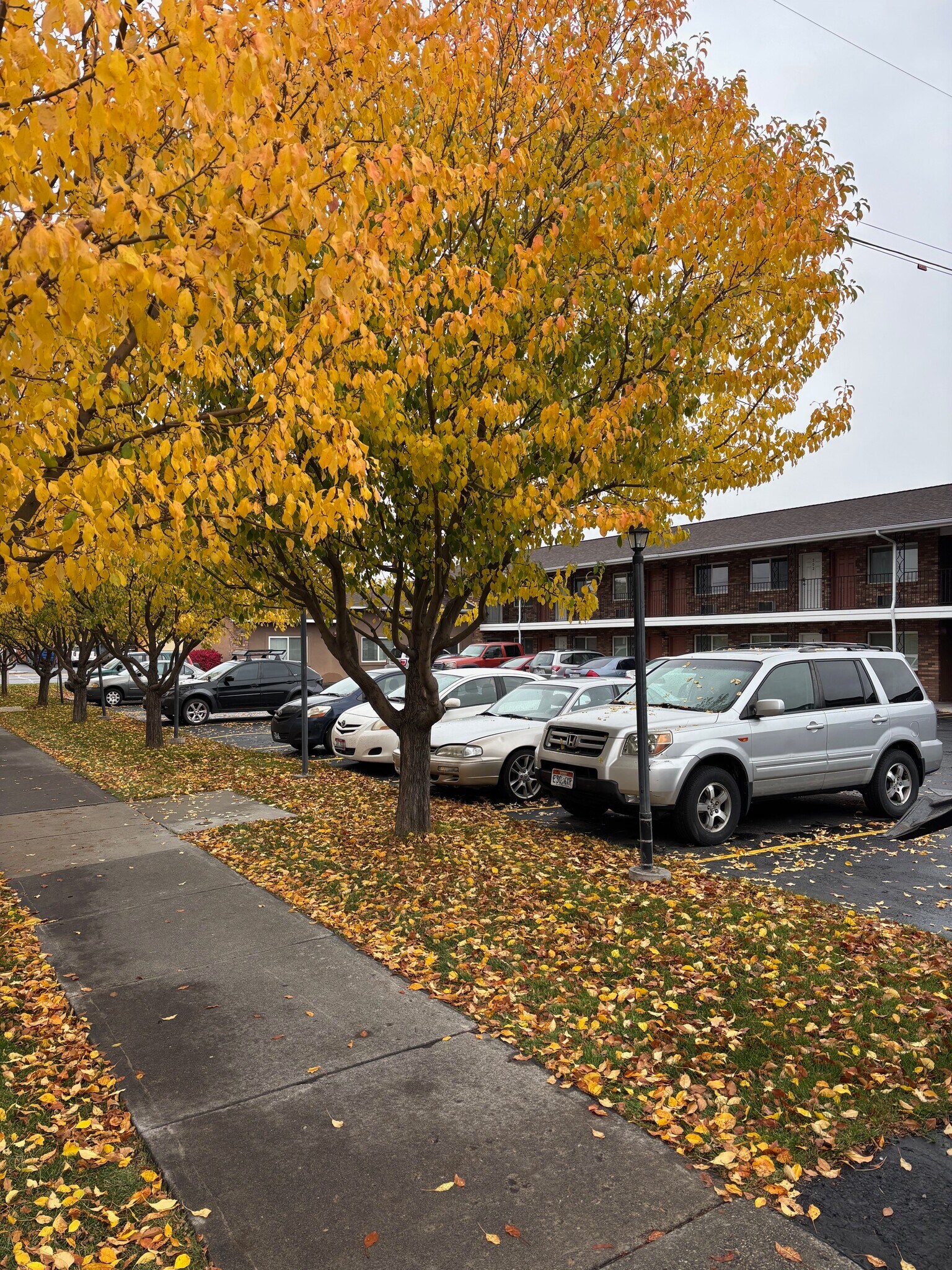 271 S 2nd W, Rexburg, ID à vendre Photo principale– Image 1 sur 2