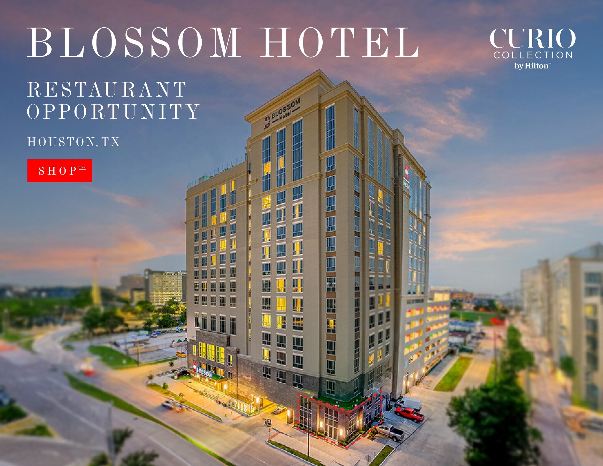 7118 Bertner Ave, Houston, TX à louer Photo de l’immeuble– Image 1 sur 9