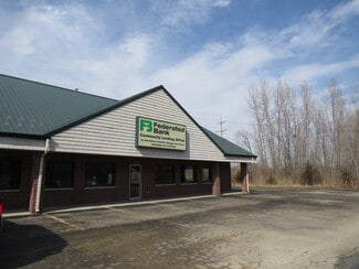 Plus de détails pour 264-272 S Front St, Braidwood, IL - Local commercial à louer