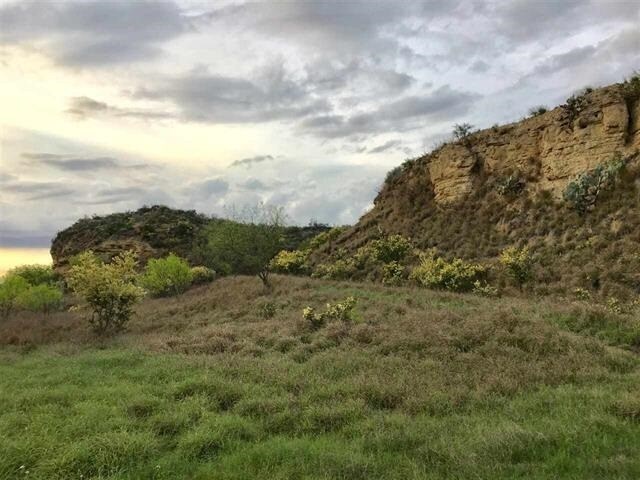 79 acres, Laredo, TX à vendre - Aérien – Image 2 sur 20