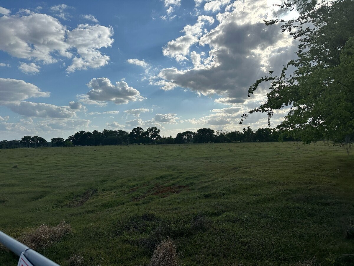 View Photo
