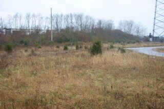 517 S Main St, Williamstown, KY à vendre - Photo principale – Image 3 sur 3