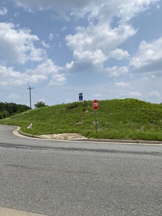 Plus de détails pour 0 Hospital Blvd, Fredericksburg, VA - Terrain à vendre