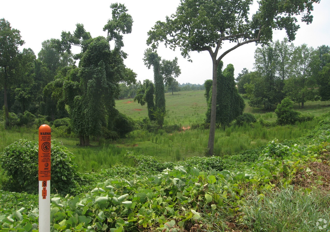 View Photo