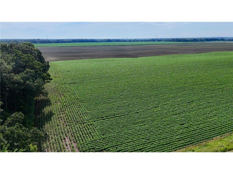 TBD County Road 7, Saint Augusta, MN à vendre - Photo de l’immeuble – Image 2 sur 10
