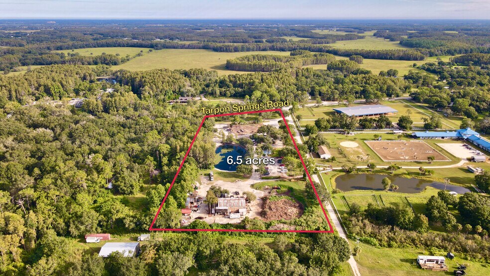 11602 Tarpon Springs Rd, Odessa, FL à vendre - Photo de l’immeuble – Image 2 sur 10