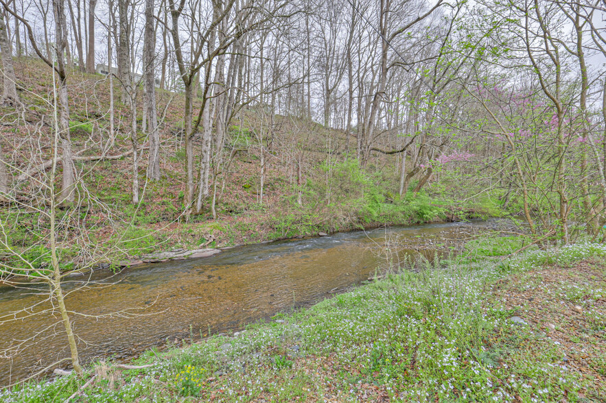 290 Main St, Red Boiling Springs, TN à vendre - Photo principale – Image 1 sur 18