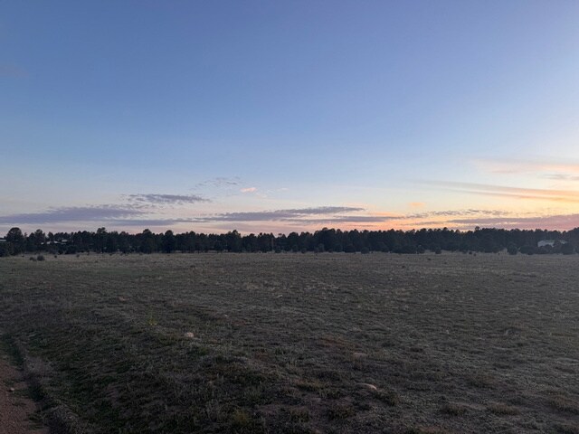 2216 Mogollon Rim Dr, Overgaard, AZ à vendre - Autre – Image 3 sur 16