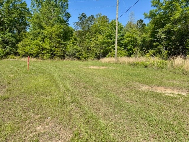 000 Tanglewood Trail, Georgetown, GA à vendre - Plan cadastral – Image 3 sur 12