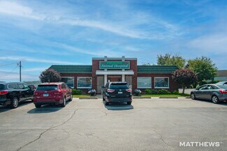 Plus de détails pour 431 S Governors Hwy, Peotone, IL - Local commercial à vendre