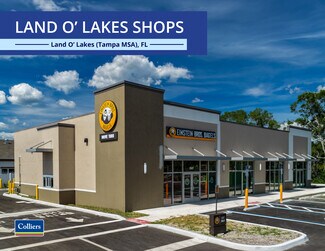Plus de détails pour 22427-22441 SR 54, Land O' Lakes, FL - Local commercial à vendre