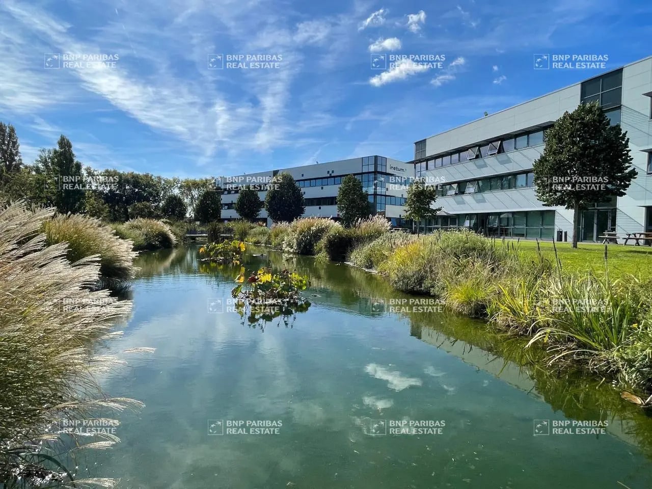 1 Rond-Point Du Général Eisenhower, Toulouse à louer Photo de l’immeuble– Image 1 sur 20