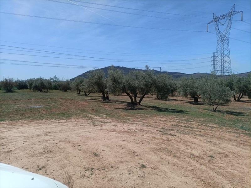 la Zanja, 25, Albolote, Granada à vendre Photo principale– Image 1 sur 23