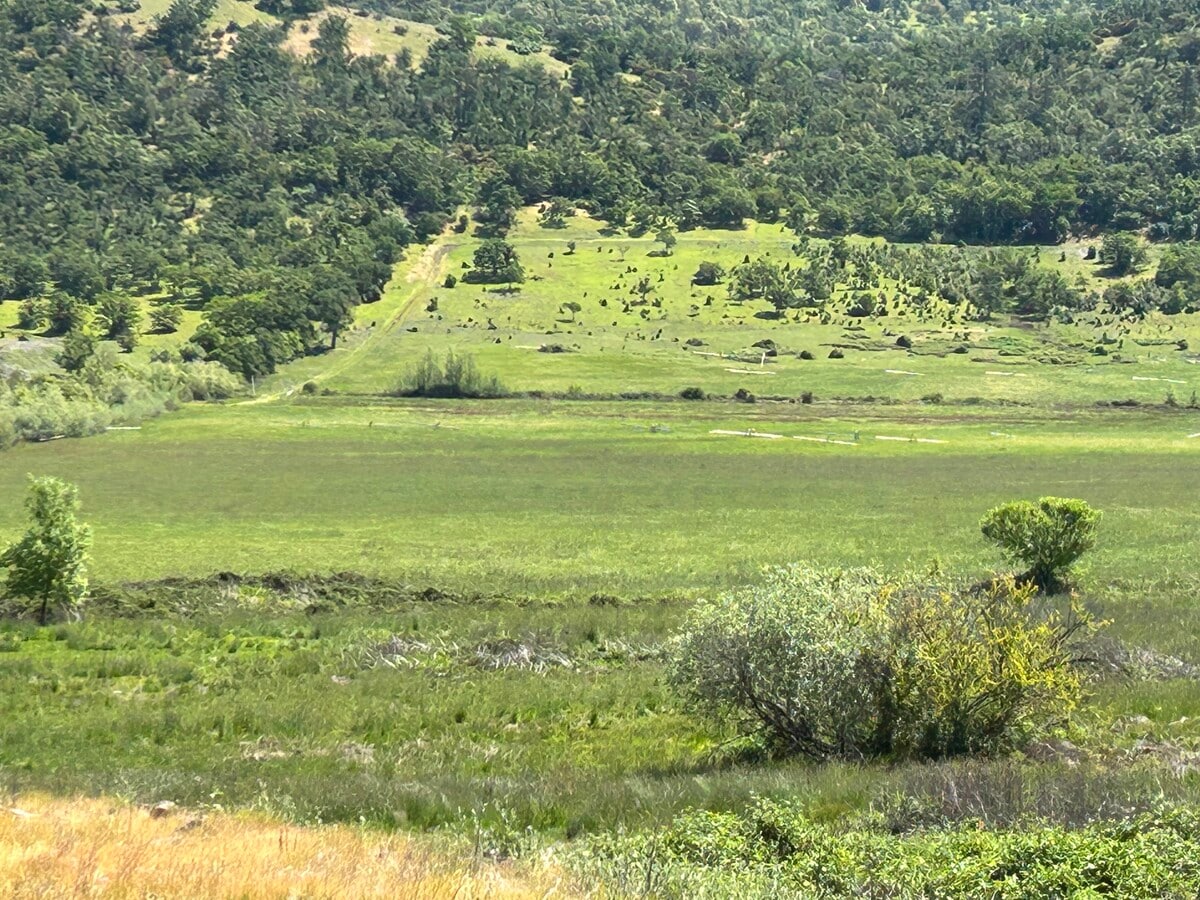 View Photo