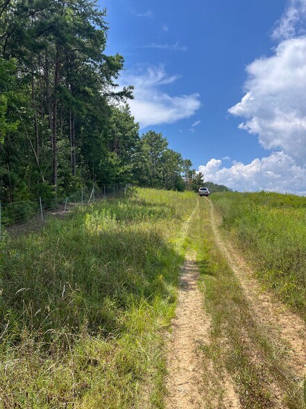 7989 AL-75, Pinson, AL à vendre - Photo de l’immeuble – Image 3 sur 5