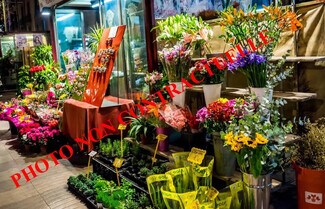 Plus de détails pour Local commercial à louer