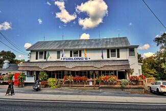 Plus de détails pour 2478 NY-145, East Durham, NY - Local commercial à vendre