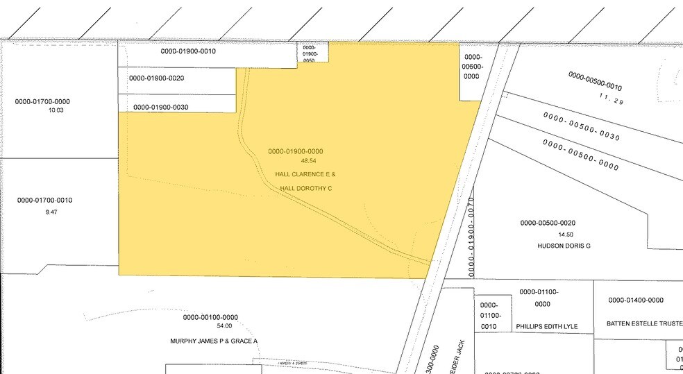 38129 Globe Rd, Dade City, FL à vendre - Plan cadastral – Image 2 sur 2