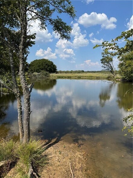 80 Acres TBD LCR 648, Thornton, TX à vendre - Photo de l’immeuble – Image 3 sur 14