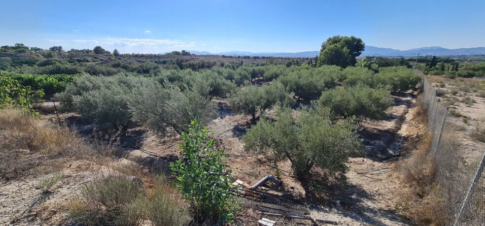 Terrain dans Molina de Segura, Murcia à vendre - Photo de l’immeuble – Image 2 sur 2