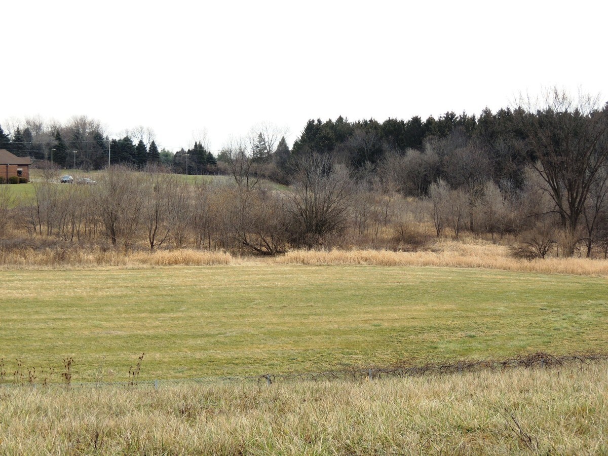 View Photo