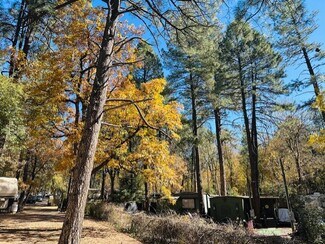 Plus de détails pour 1065 E Christopher Creek Loop, Payson, AZ - Spécialisé à vendre