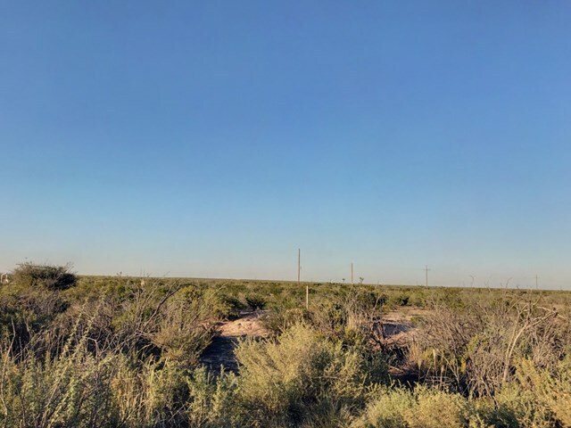 10 Acres County Road 2545, Coyanosa, TX à vendre - Photo de l’immeuble – Image 3 sur 9