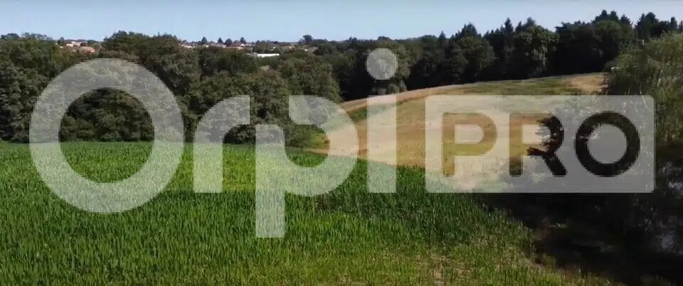 Industriel/Logistique dans Limoges à vendre - Photo de l’immeuble – Image 2 sur 14