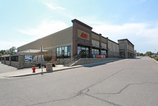 Plus de détails pour 9975-9983 Wadsworth Pky, Westminster, CO - Local commercial à louer