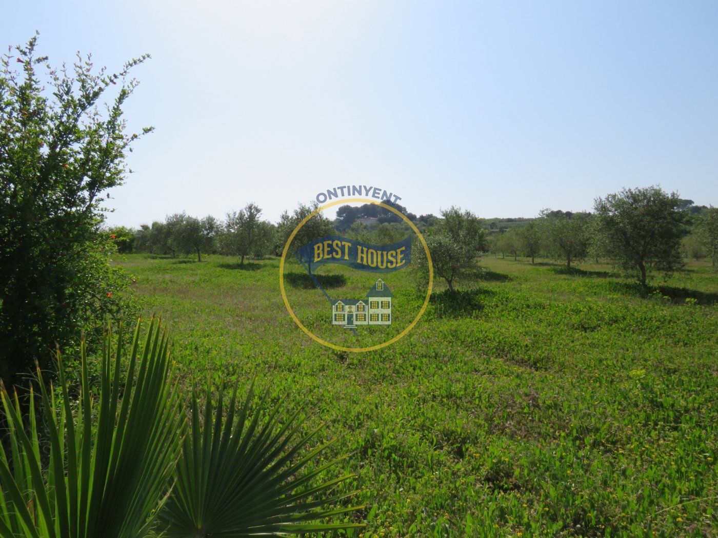 Terrain dans Atzeneta d'Albaida, Valencia à vendre Photo principale– Image 1 sur 12
