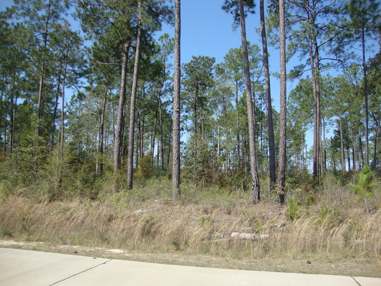 General Patton Ave, Mandeville, LA à vendre - Autre – Image 3 sur 3
