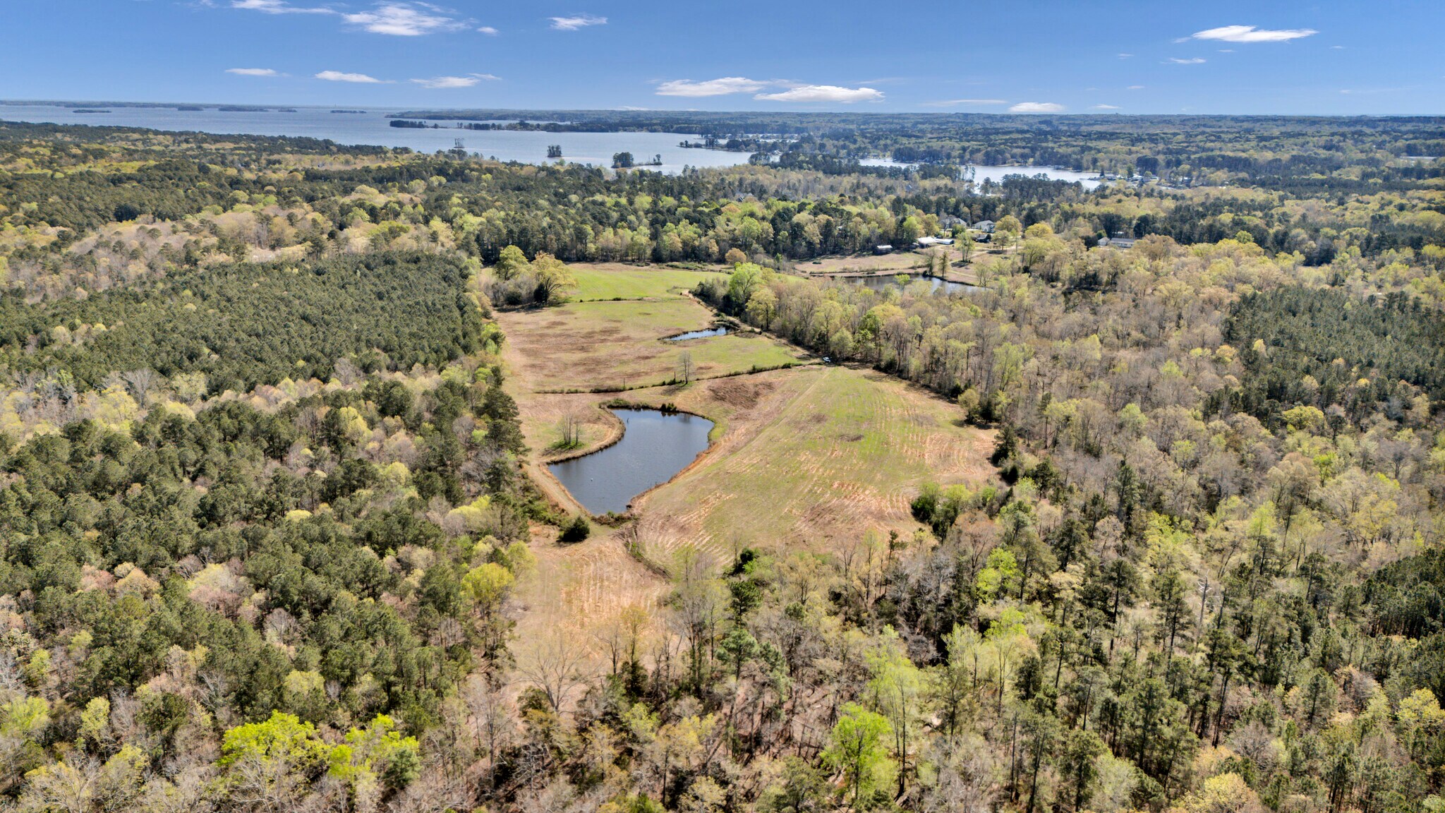 421 Shore Rd, Gilbert, SC à vendre Photo principale– Image 1 sur 58