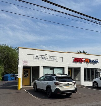 Plus de détails pour 3617 Old Easton Rd, Doylestown, PA - Local commercial à louer