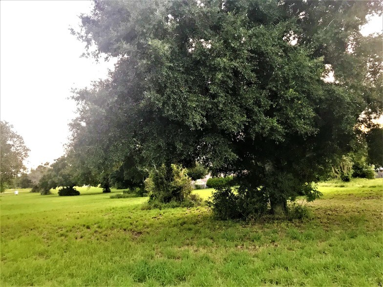 448 CR, Tavares, FL à vendre - Photo de l’immeuble – Image 3 sur 4