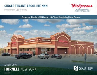 Plus de détails pour 12 Park Dr, Hornell, NY - Local commercial à vendre