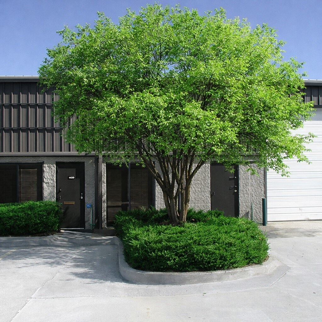 129 Bethea Rd, Fayetteville, GA à louer Photo principale– Image 1 sur 7