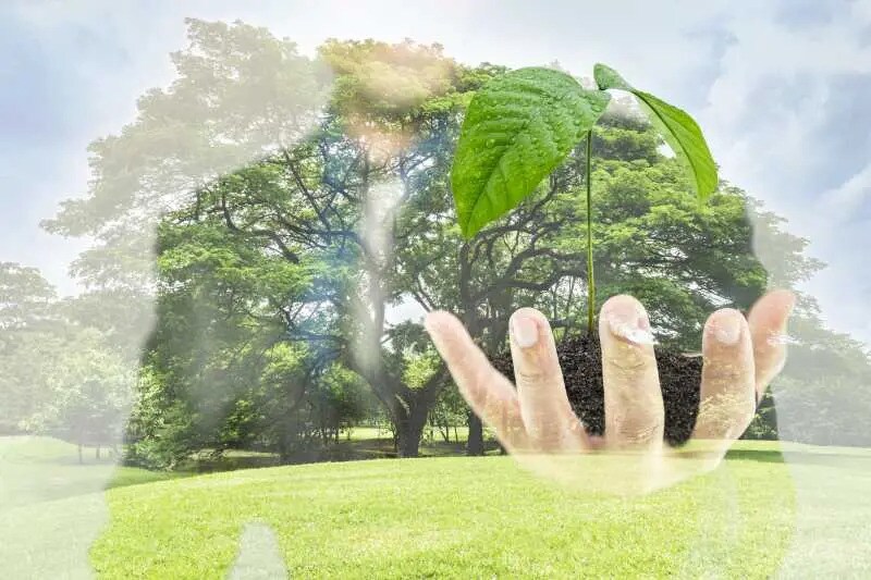 22 Rue des Osiers, Coignières à louer - Photo de l’immeuble – Image 2 sur 8