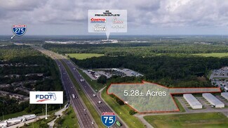 Plus de détails pour 4214 Cypress Gulch dr, Lutz, FL - Terrain à vendre