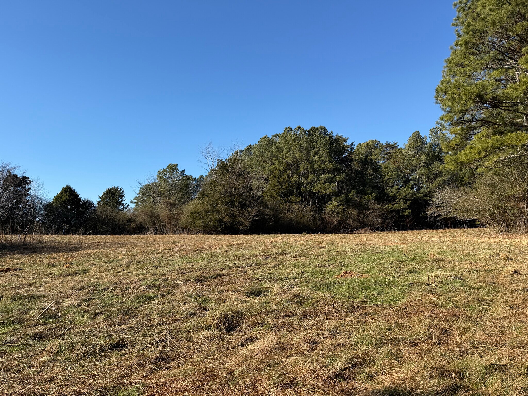 Liberty Church Road Rd, Ranger, GA à vendre Photo principale– Image 1 sur 2