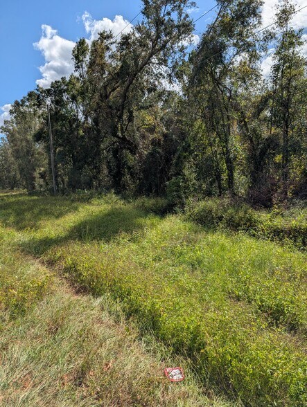 18011 N US Hwy 301, Citra, FL à vendre - Photo de l’immeuble – Image 2 sur 11