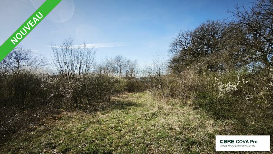 Terrain dans Velesmes-Essarts à vendre Plan de site– Image 1 sur 3