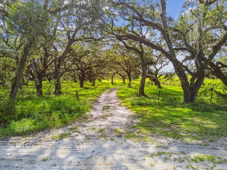 16350 US-41, Spring Hill, FL à vendre - Photo de l’immeuble – Image 2 sur 26