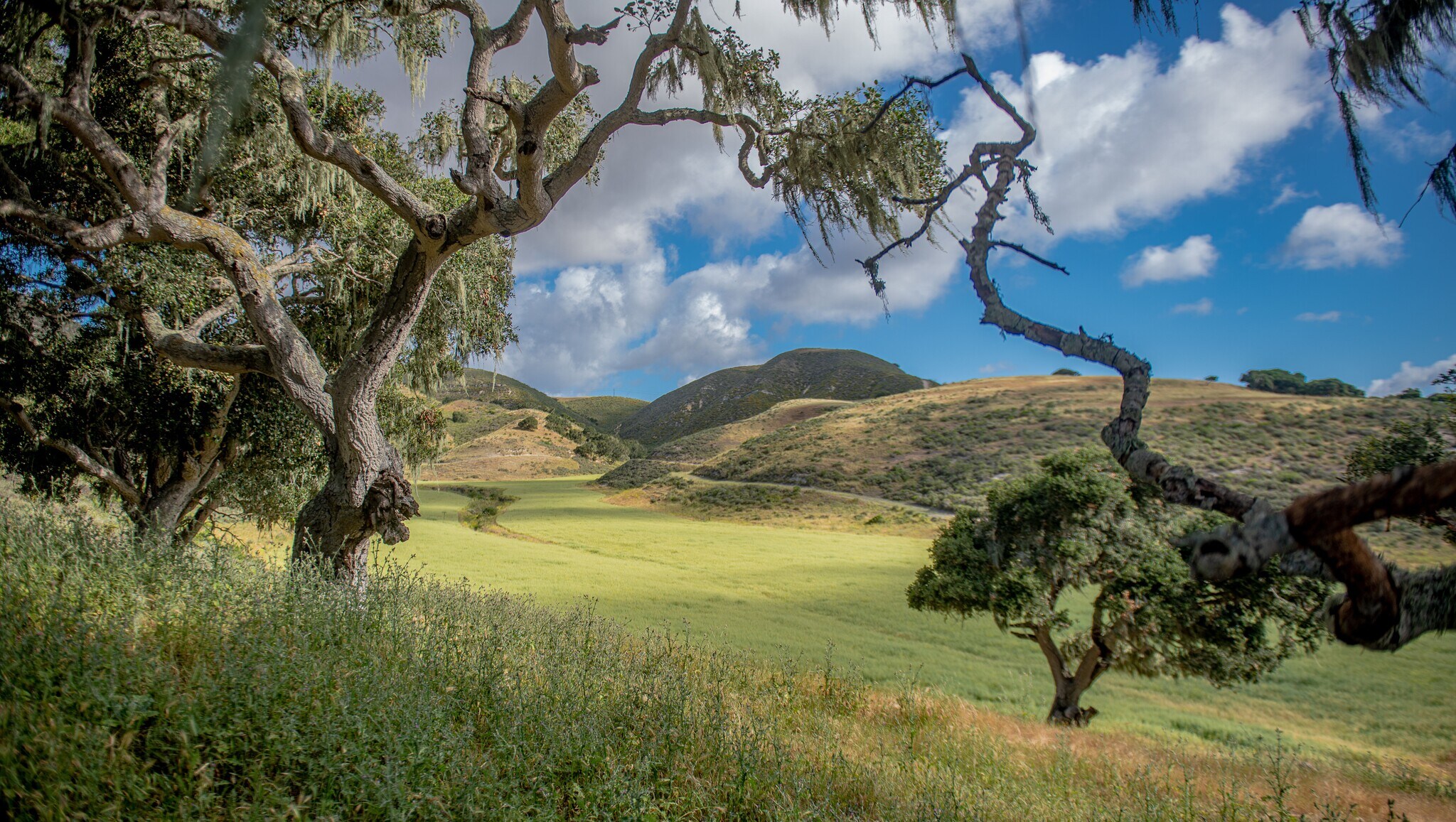 3500 Sweeney Rd, Lompoc, CA à vendre Autre– Image 1 sur 20