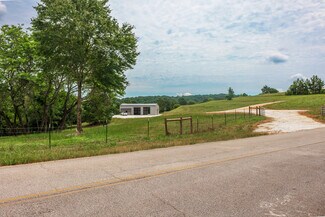 Plus de détails pour 85 Blackjack Mountain Rd, Bowdon, GA - Terrain à vendre