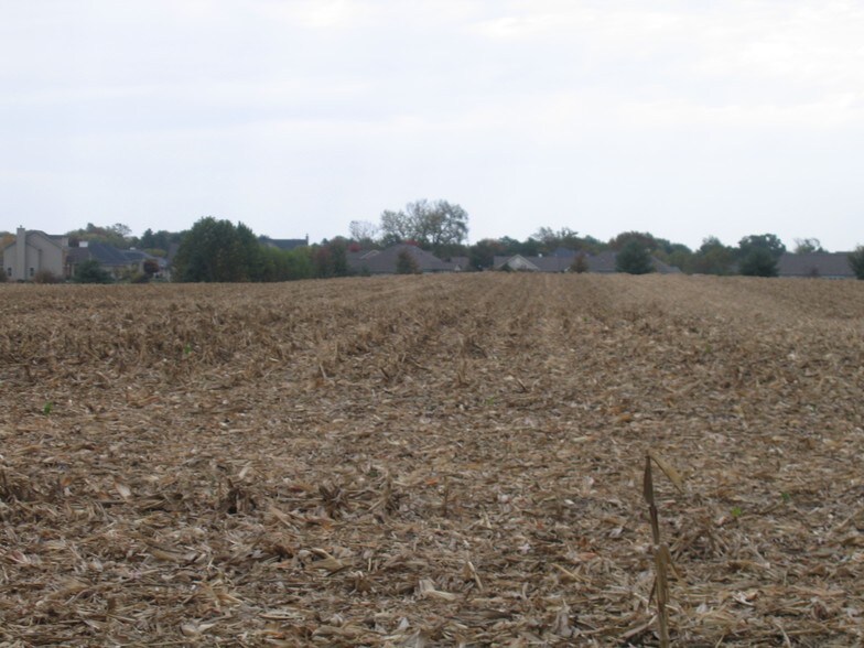 Smelting Works Rd, Swansea, IL à vendre - Photo principale – Image 2 sur 2
