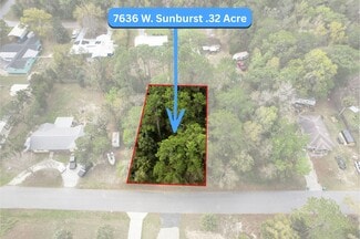 Plus de détails pour 7636 Sunburst ln, Homosassa, FL - Terrain à vendre