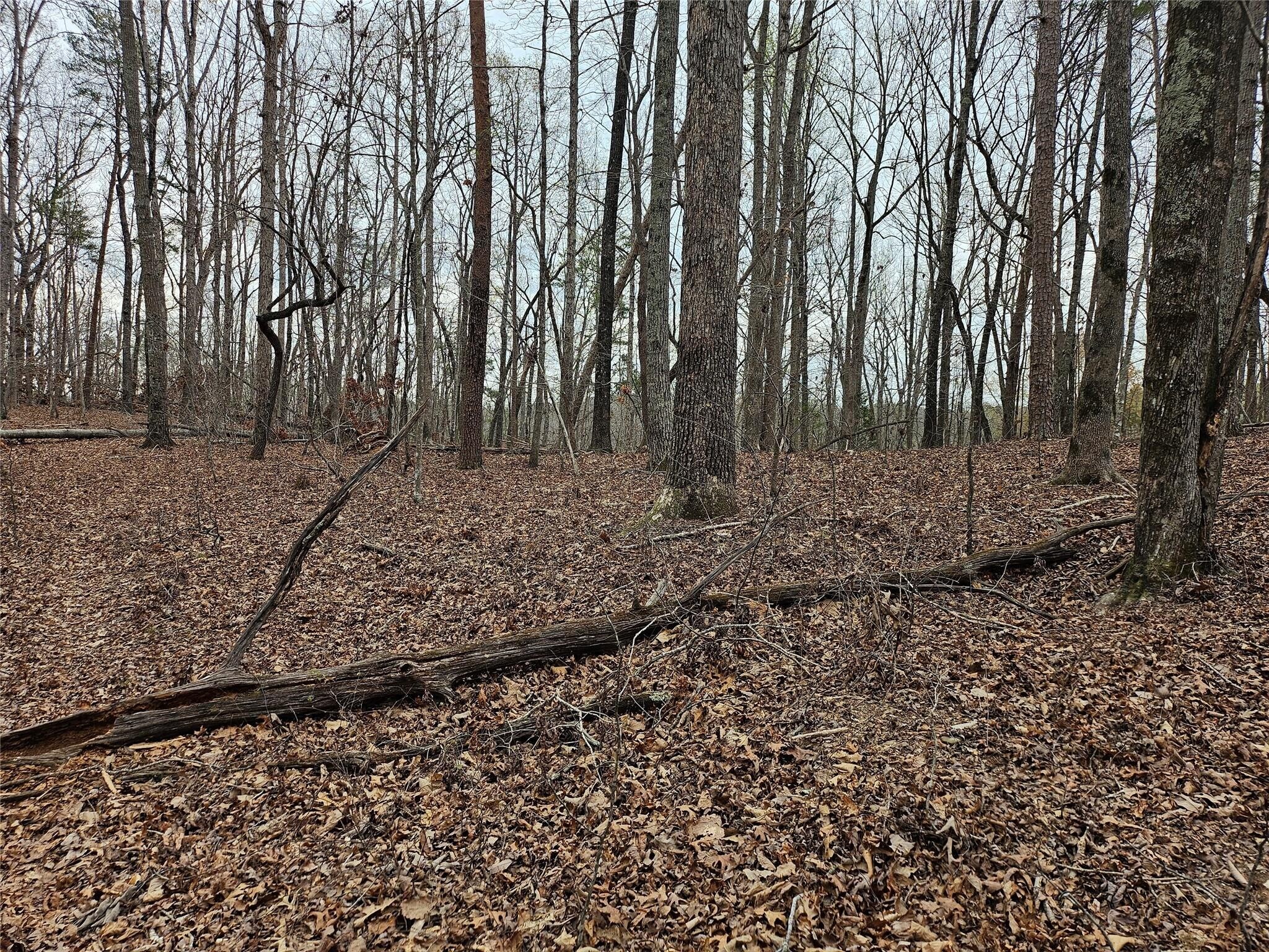 000 Weaver Mill Road, Columbus, NC à vendre Photo principale– Image 1 sur 2