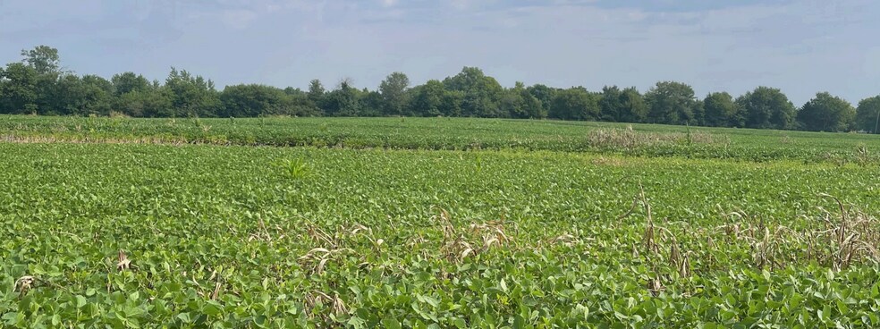 219th Nall Rd, Bucyrus, KS à vendre - Photo de l’immeuble – Image 1 sur 3