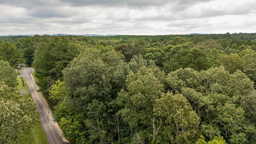 0 Poindexter SE Dr, Cleveland, TN à vendre - Aérien – Image 3 sur 21